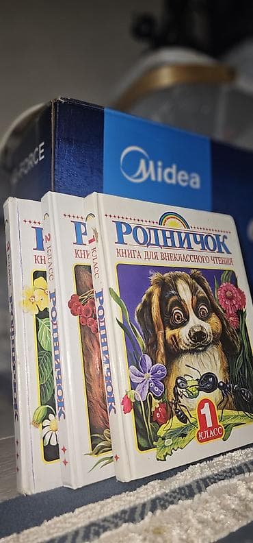 Детские книги: Подборка детских книг «Родничок. Книга для внеклассного чтения» для — 2