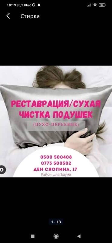 продаю оборудование для стирки ковров: Сухой чисткаи реставрации пухо перевых Чистка подушек чистка подушек — 1