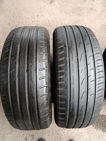 r19: Шины 225 / 55 / R 19, Лето, Пара, Внедорожные (АТ/МТ), Япония, Toyo — 1