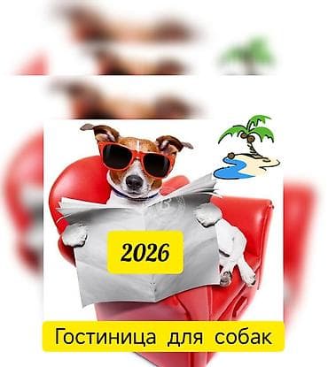 Гостиница для квартирных собак, частный дом, комфортное и безопасное