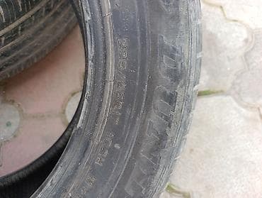 65: Шины 225 / 65 / R 17, Лето, Комплект, Внедорожные (АТ/МТ), DUNLOP — 3