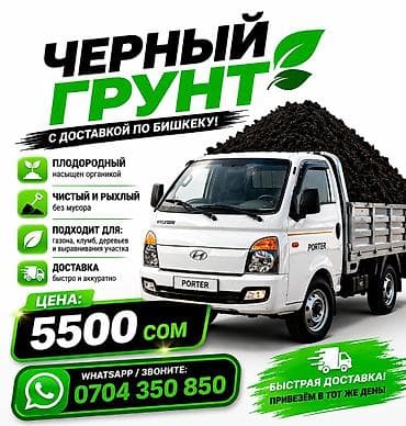 карась: Портер — 1