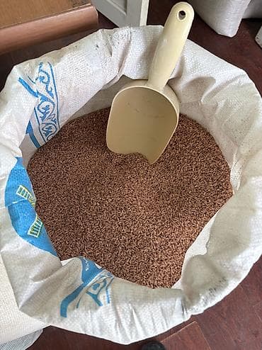 суу аппарат: Өзгөн гуруч сатылат Натуральный дарыланбаган Краскаланбаган 5-10 — 3