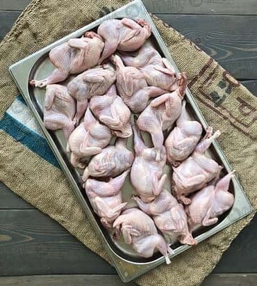 Перепел :, До 1 кг, Самовывоз, Платная доставка