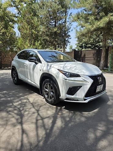 will cypha: Lexus NX: 2020 г., 2 л, Автомат, Бензин, Кроссовер — 3