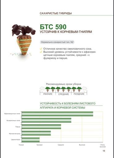 розы корни: Семена овощей: Свекла, Самовывоз, Бесплатная доставка, Платная доставка — 5