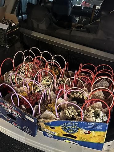 цветок каланхоэ красные цветы: Горшечные каланхоэ в подарочных корзинках - Цветение: обильное — 3