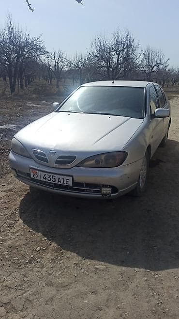 maxima j30: Nissan Primera: 2001 г., 1.8 л, Ручные, Бензин, Седан — 2