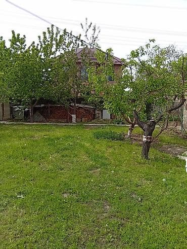 3 соток, Для строительства, Красная книга — 1