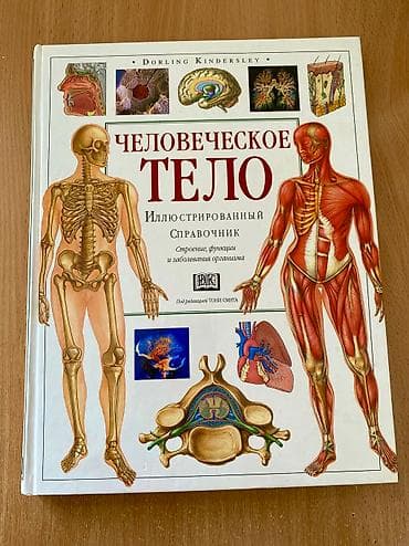 Книга «Человеческое тело» Dorling Kindersley, под редакцией Тони Смита
