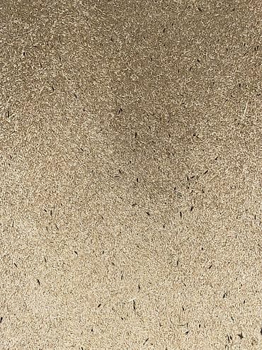 кукуруза кормовой: Арпа сатылат, баасы 25 сом, 9 тоннадай бар
Ячмень — 1