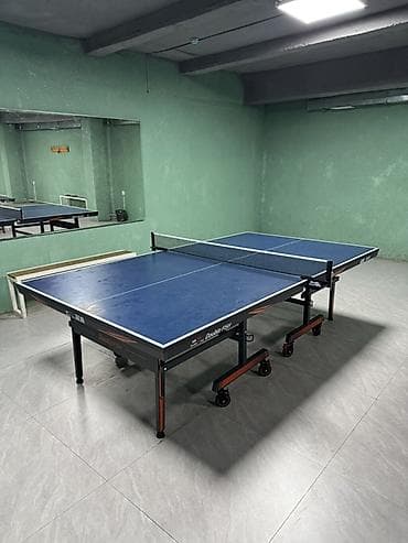 теннисный столы: Профессиональный теннисный стол Double Fish - Бренд/модель: Double — 2