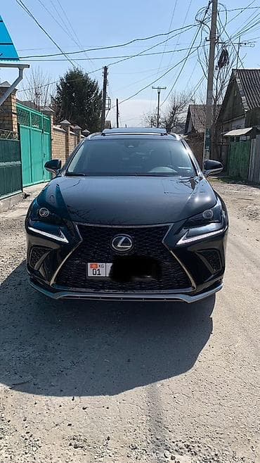чехол некся: Lexus NX: 2019 г., 2 л, Автомат, Бензин, Кроссовер — 1