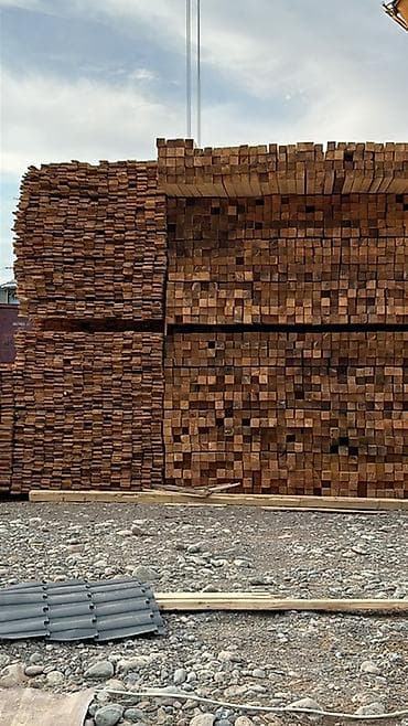 Жыгач таарындысы: Ийне жалбырак — 3