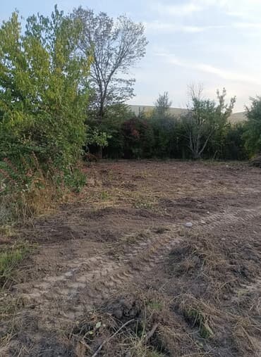 зонтик для кафе: 5 соток, Красная книга — 1