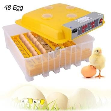 Курулуш жабдуулары: Мини инкубаторы, на 48 яиц На 48 яиц на 98 яиц так же — 2
