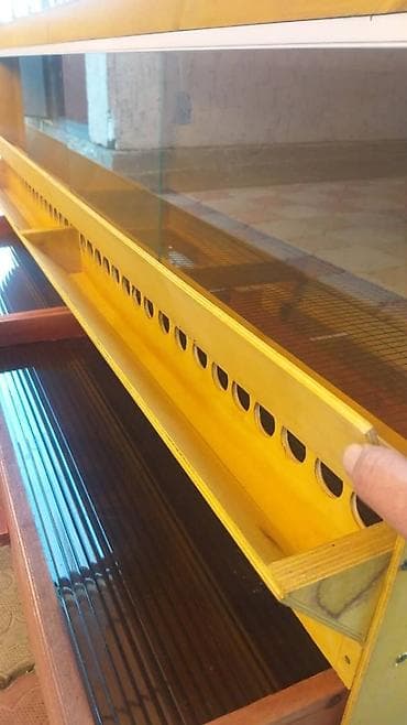 Собаки: Брудеры для цыплят. размеры 150 х 50 х 65 см. Яйцо Брама — 3