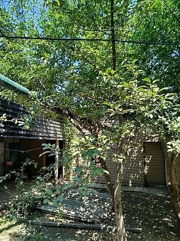 виноградники: Продаётся земельный участок с жилой застройкой и плодовым садом — 4