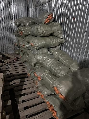 купить чеснок: Морковь Оптом, Самовывоз — 2