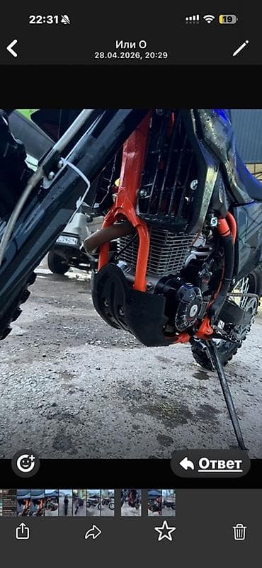 нью райз: Эндуро 250 куб. см, Бензин, Взрослый — 2