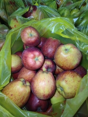 натуральный сок цена бишкек: Яблоки Голден, Оптом — 4