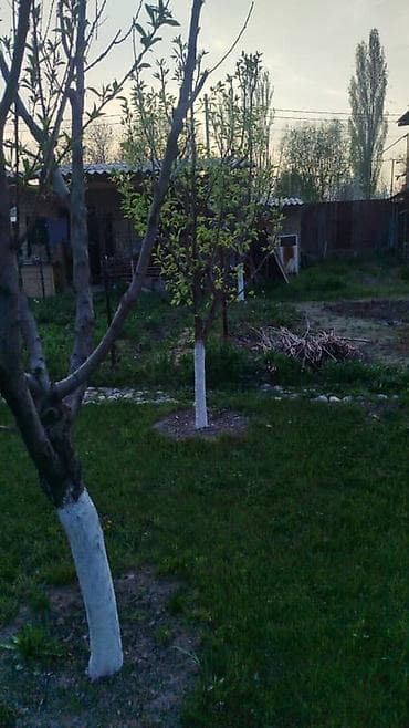 добрыня дача: Продаётся участок в районе Село Восток, 3,5 сотки. Место спокойное — 3