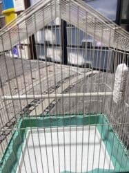 купить клетку для декоративного кролика бу: Клетка для птичек — 2