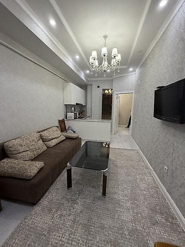 2 комнаты, 52 м², Дворец спорта Элитка, 7 этаж, Евроремонт — 6