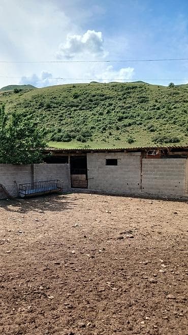 уй сатык: Кой короо, 100 соток, Иштеп жаткан, Скважина, Электр энергиясы — 7