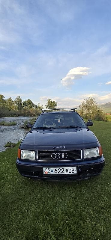 антена 124: Audi 100: 1992 г., 2.3 л, Механика, Бензин, Седан — 1