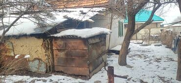 Үйлөрдү сатуу: Үйдүн жарымы, 30 м², 1 бөлмө, Кыймылсыз мүлк агенттиги — 8