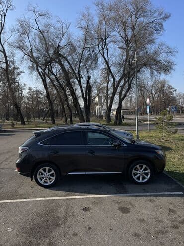 форт сера: Lexus RX: 2009 г., 3.5 л, Автомат, Бензин, Кроссовер — 3