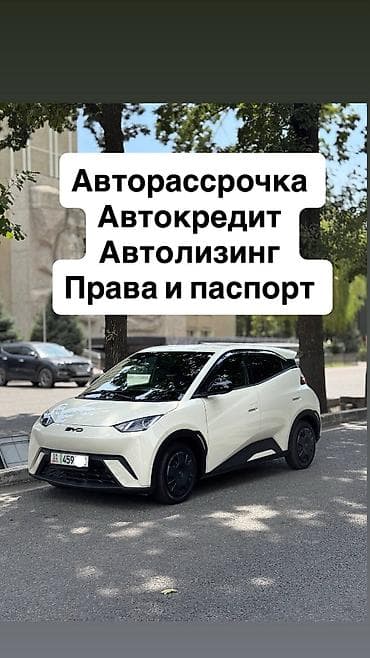 BYD : 2025 г., Электромобиль, Хэтчбэк — 1