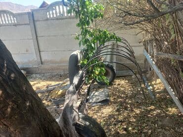 продажа дисков бишкек: Абалы ото жакшы
толка ватсап иштейти — 2