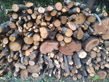 Продам дрова фруктового сада персик яблоня вишня абрикос для мангала