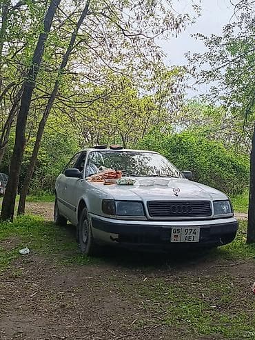 брызговики ауди: Audi 100: 1991 г., 2.3 л, Бензин, Седан — 3