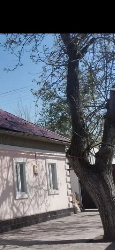 фильтры для бассейна: 60 м², 3 комнаты, Забор, огорожен — 1