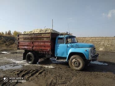 животные для дома: Жом Жом Жом — 2