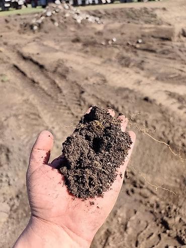 кызылча свекла: В мешках, Бесплатная доставка, Камаз — 3