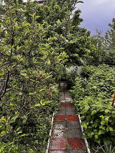 Продаю дом с участком и садом в элитном уютном и спокойном районе