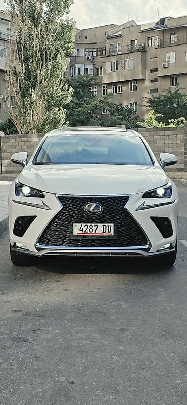 Lexus NX: 2019 г., 2 л, Автомат, Бензин, Кроссовер