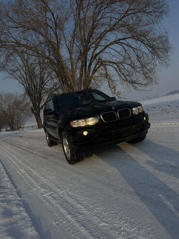 продаю бмв 34: BMW X5: 2003 г., 3 л, Автомат, Дизель, Кроссовер — 4