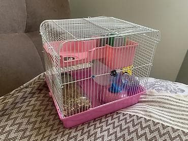 шарик для хомяка: Клетка для хомяка с комплектом аксессуаров - Размер компактный — 1