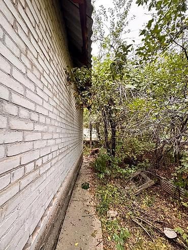 загородные домики бишкек: Продается Дача «СТ Норус» 5 соток Красная книга Тех паспорт Село — 5