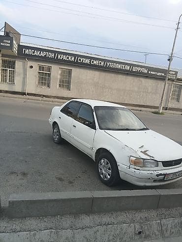 carib ae95: Toyota Corolla: 1995 г., 1.5 л, Автомат, Бензин, Седан — 2