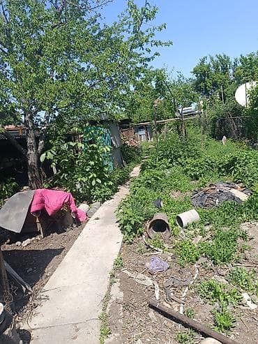 open space: 5 соток, Для сельского хозяйства, Красная книга — 1
