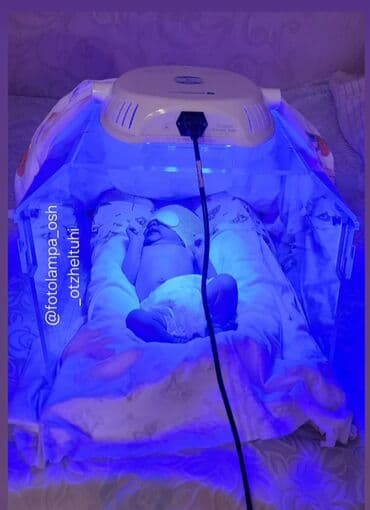 масляная лампа: Ош Фотолампа - кювез. Арендага берилет, жаны, кооптуу, эффективдуу, 2 — 6