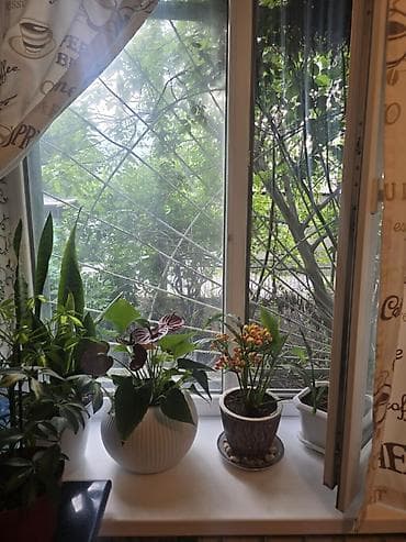 ансар: 1 комната, 27 м², Индивидуалка, 1 этаж, Косметический ремонт — 9