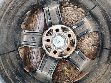 206 65 16: Колеса в сборе 205 / 55 / R 16, Зимняя шипованная, Комплект, Литые, отверстий - 5 — 1