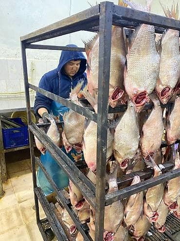 Требуется мужчина рабочий. В производственный РЫБНЫЙ цех. График